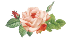 adinda-auditya-flower